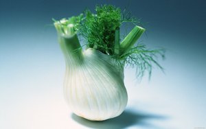 论文写作中的论文结构平衡：各章节字数分配